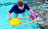 Learn to Swim at Kings Swim School