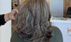 Restyle Cut & WellaPlex Hair Treatment