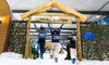 One-Hour Winter Wonderland Pass