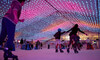 CBD Ice Skating Pass at Aotea Square