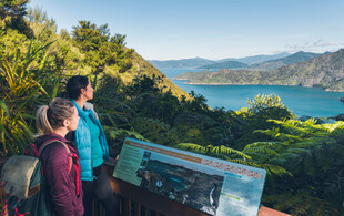 Queen Charlotte Track Day Walk with Cougar Line Cruise Transfers - Walk Ship Cove/Meretoto to Furneaux Lodge - Options for Adult or Child